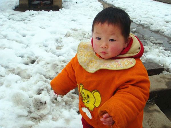 20110122又下雪了