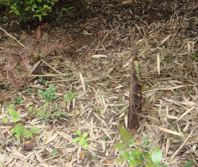 20130331登山外活动