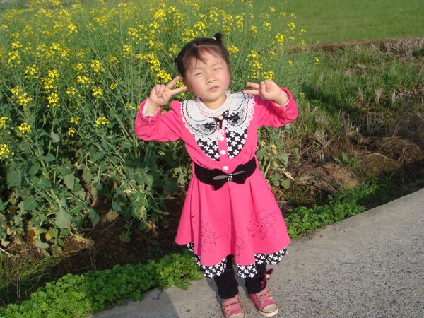 20140329油菜花开