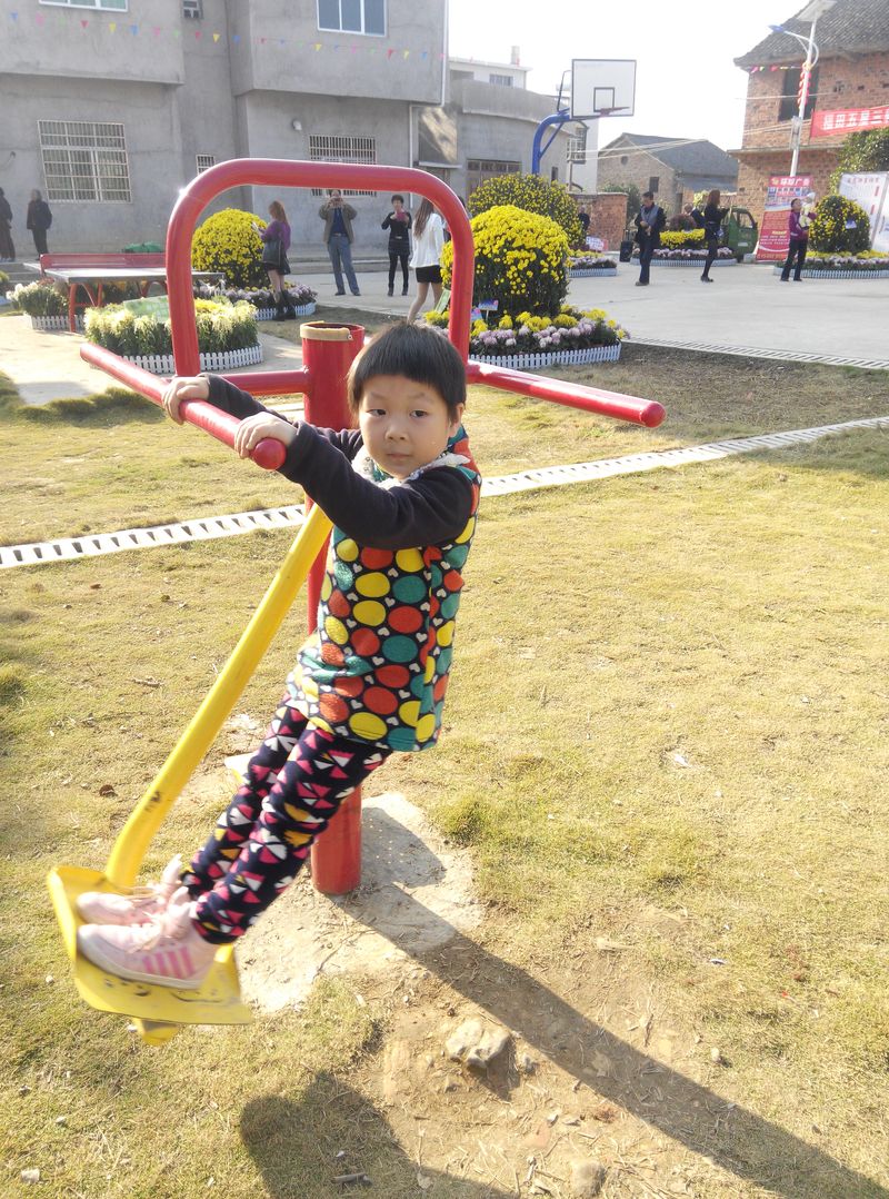 20151105双峰锁石菊花花展