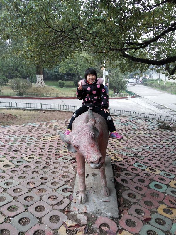 20160227昕昕游公园