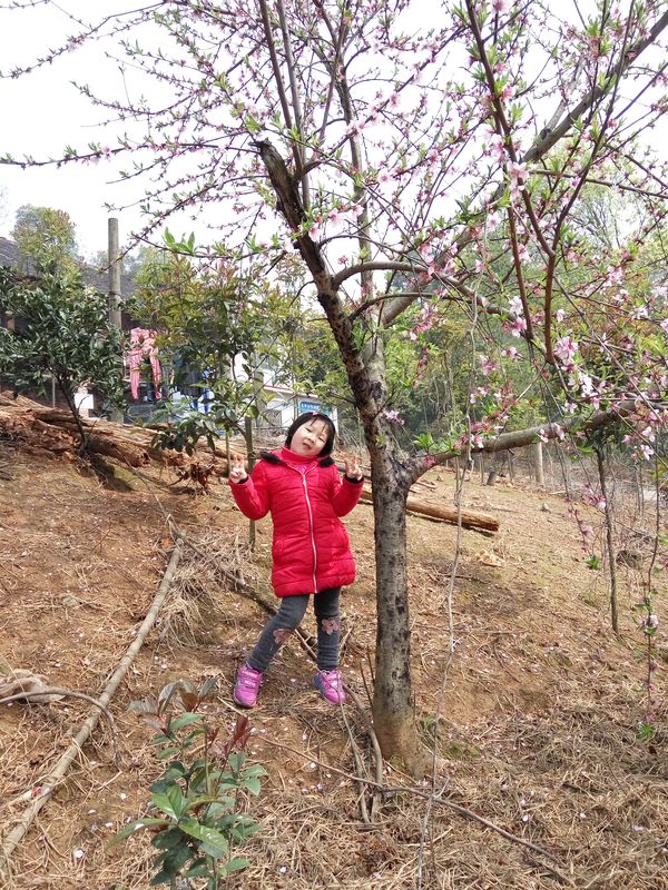 20160319昕昕春游