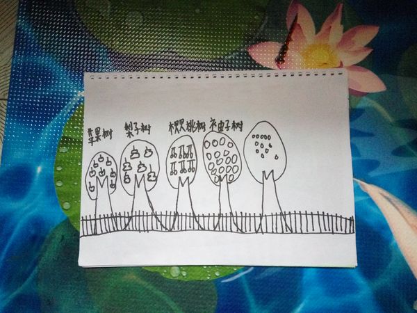 20161029昕昕的绘画作品