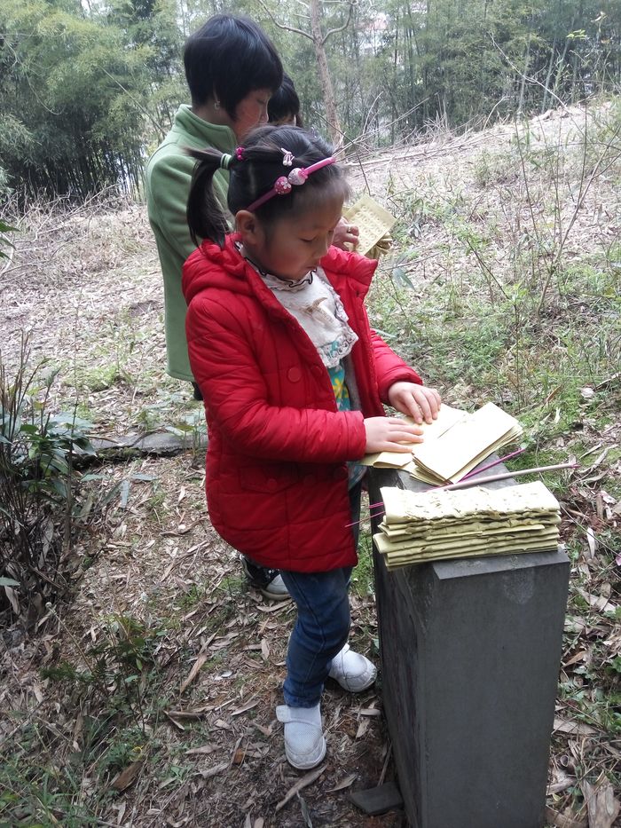 20170403清明节挂青