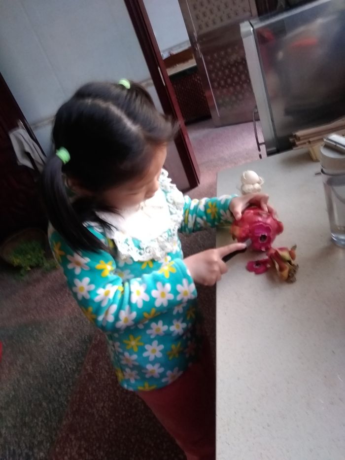 20170411昕昕作品