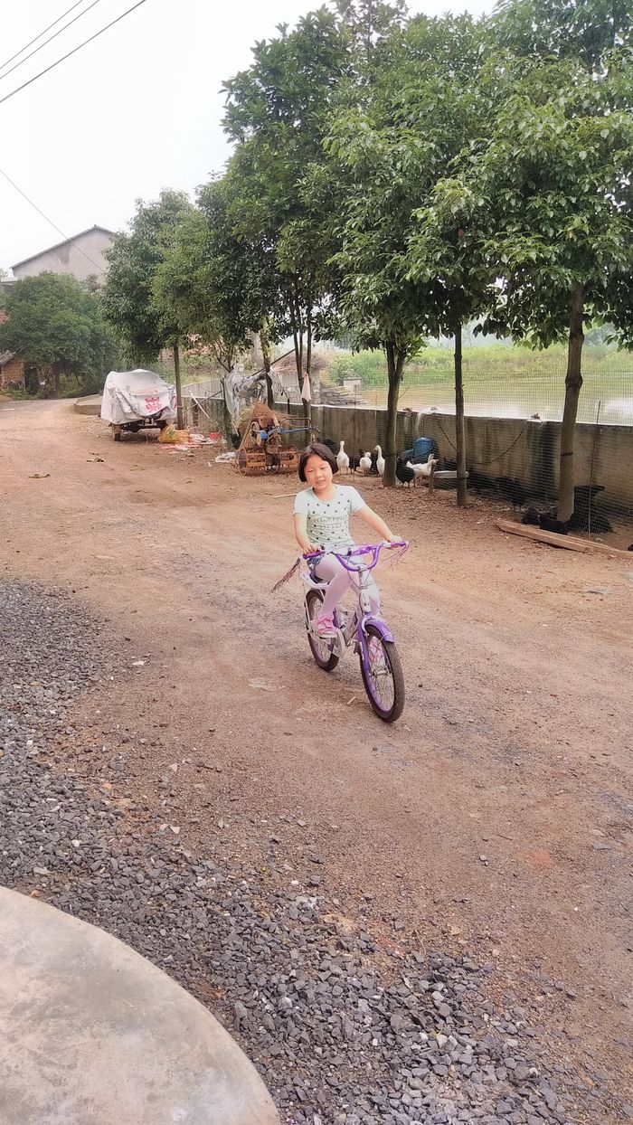 20170604昕昕自行车