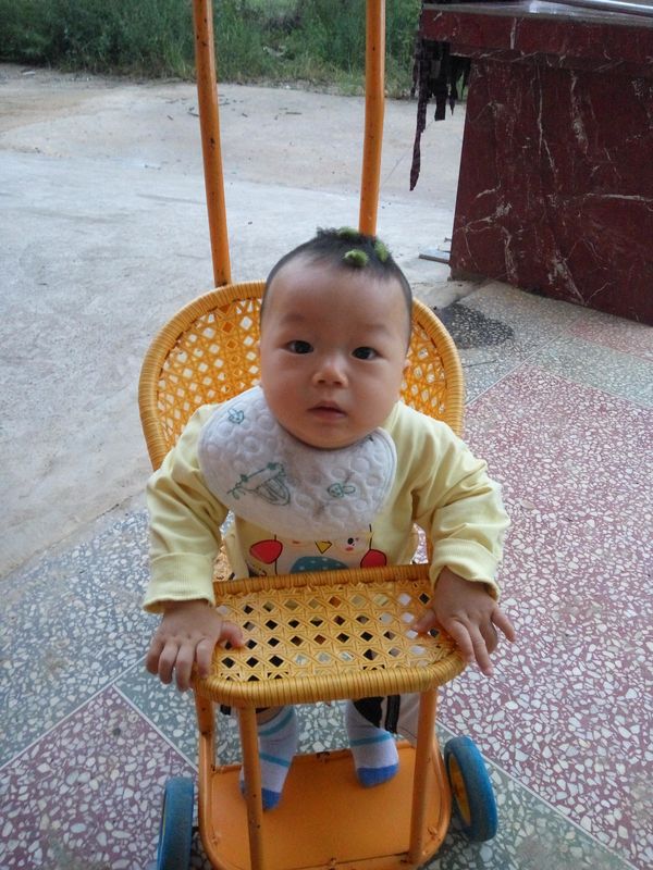 20171002爸爸放的苍耳