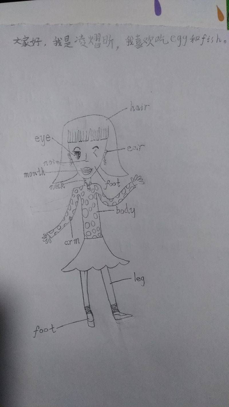 20171207昕昕的作品