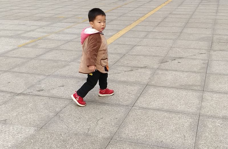 20181125奇奇在校园