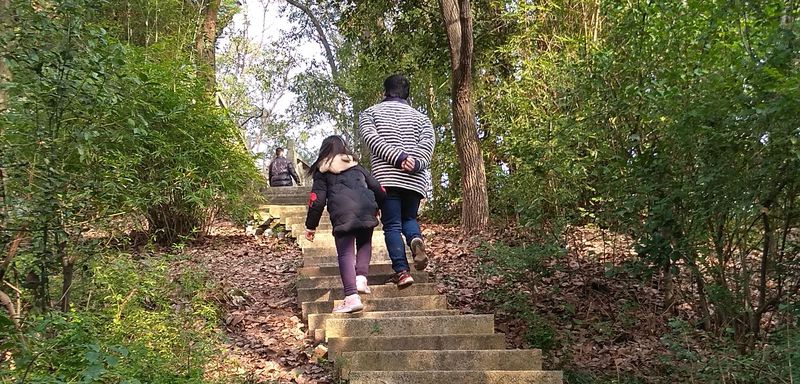 20181223昕爸妈游公园