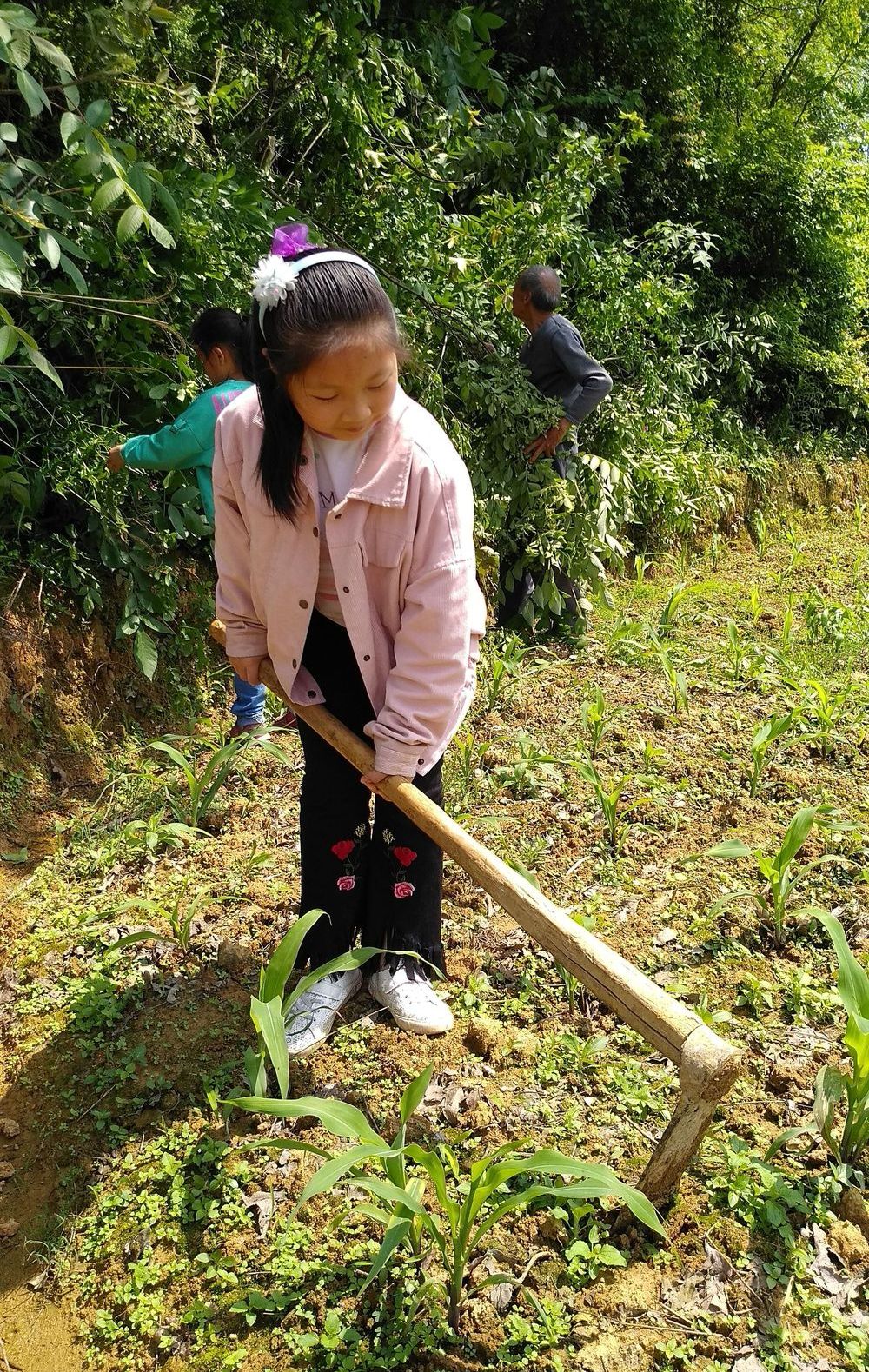 20190503昕昕奇奇