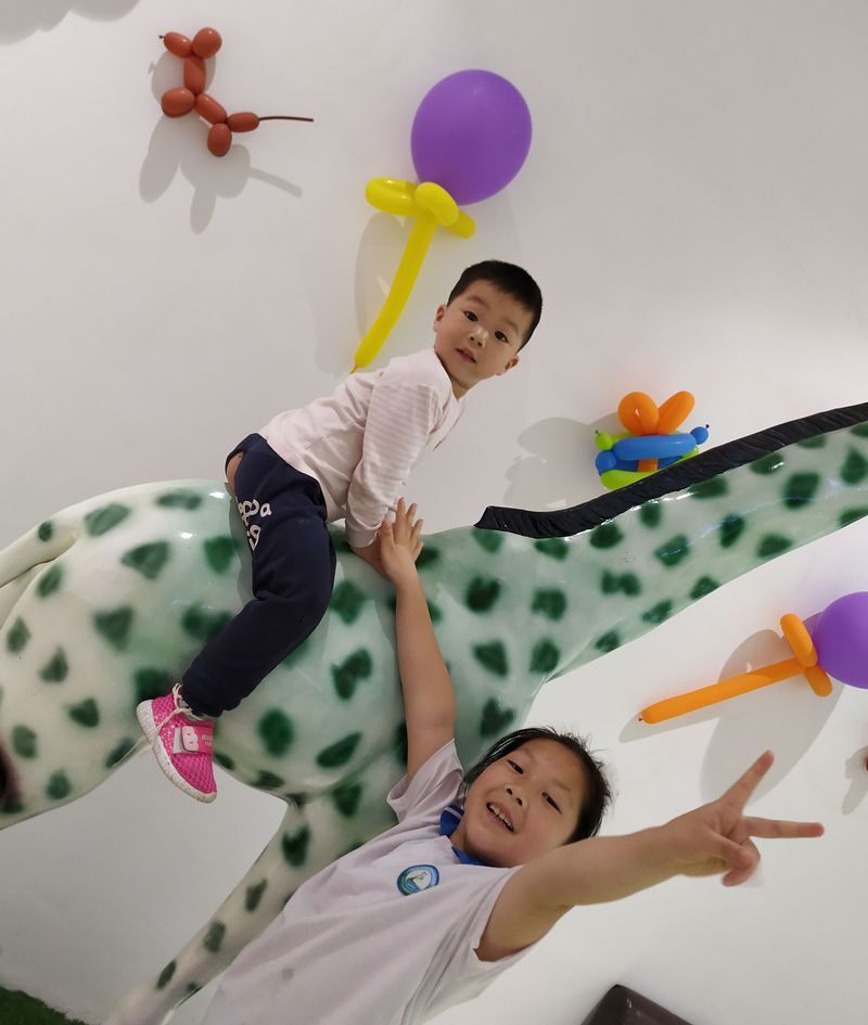 20190531昕昕奇奇