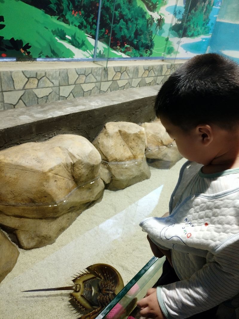 20190602昕奇在游乐场