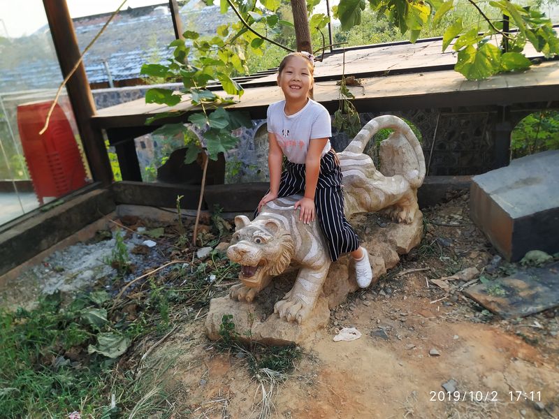 20191002昕昕打虎