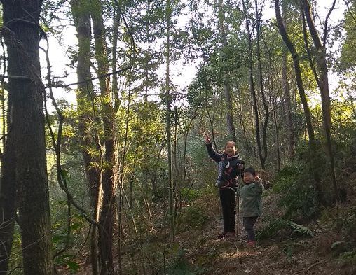 20200217昕奇爬山