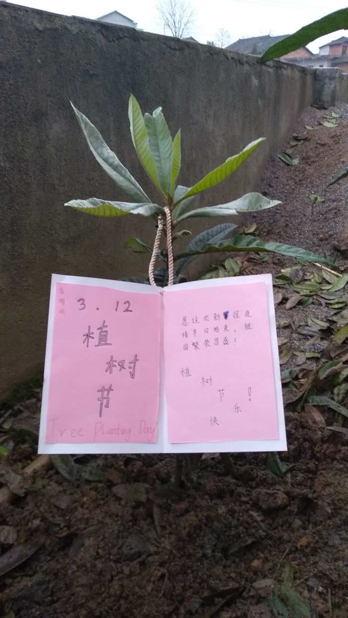 20200311植树节