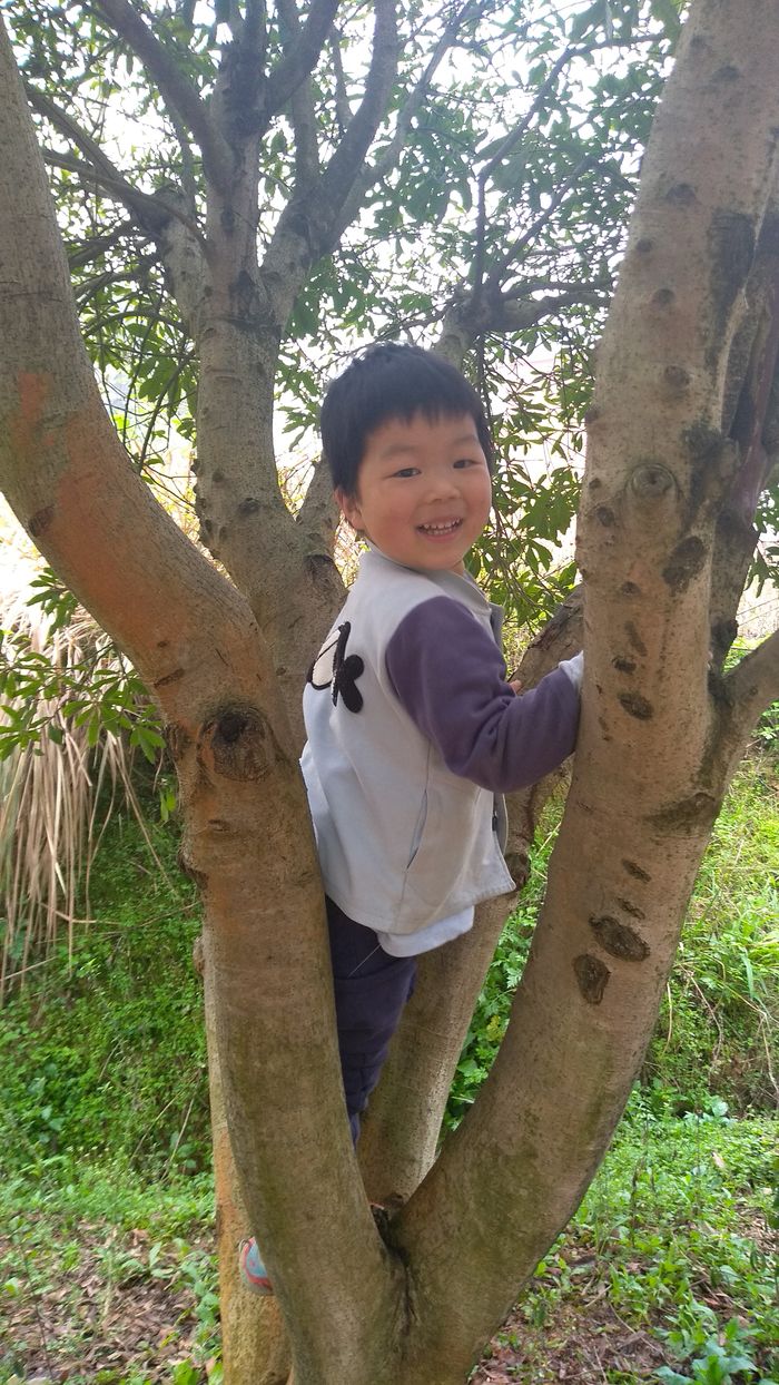 20200324奇奇爬树