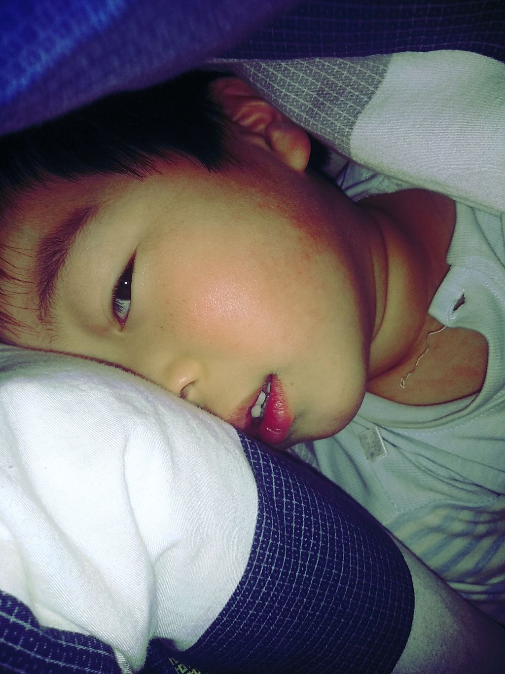 20210103奇奇睡觉