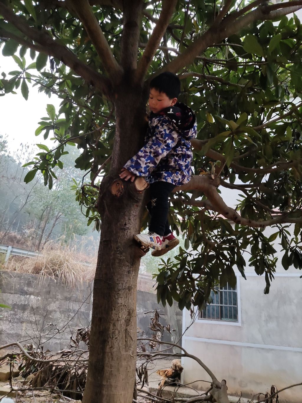 20210127奇奇爬树