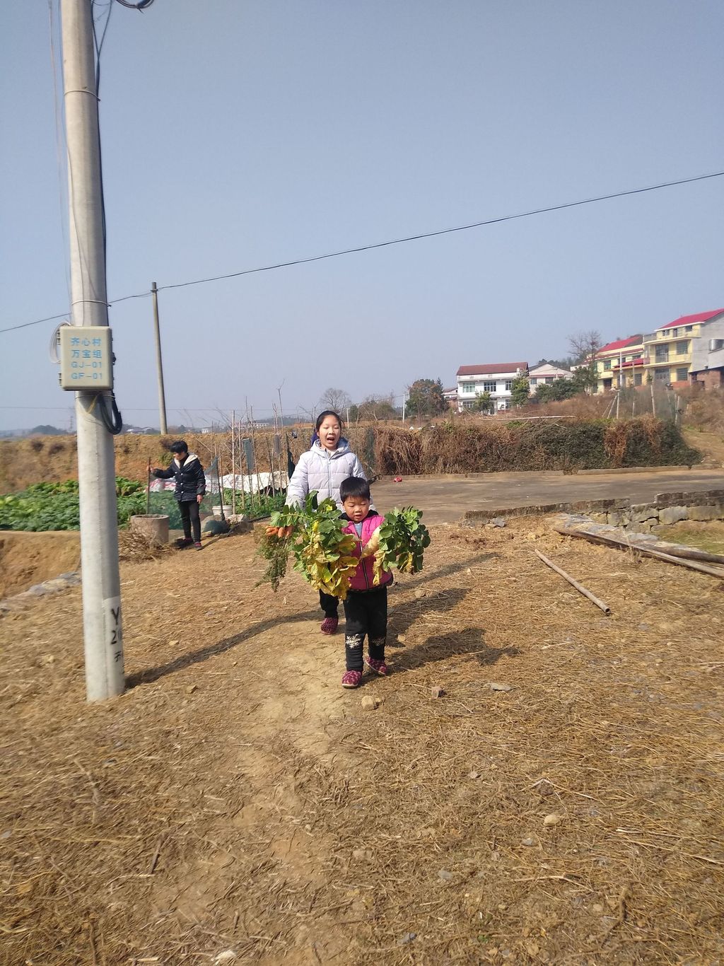 20210128昕奇劳动