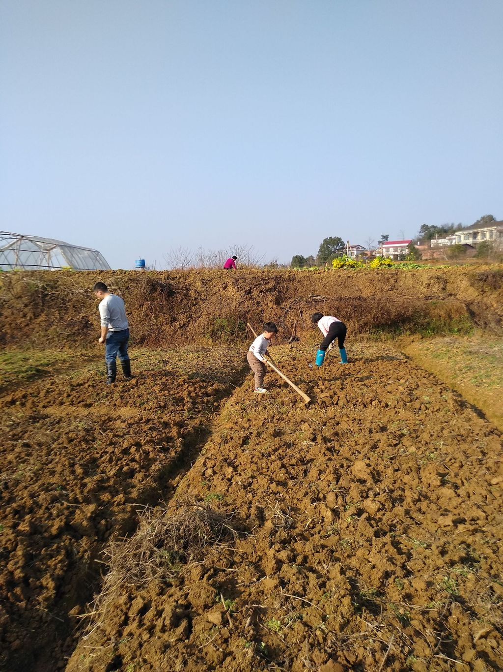 20210206昕奇劳动