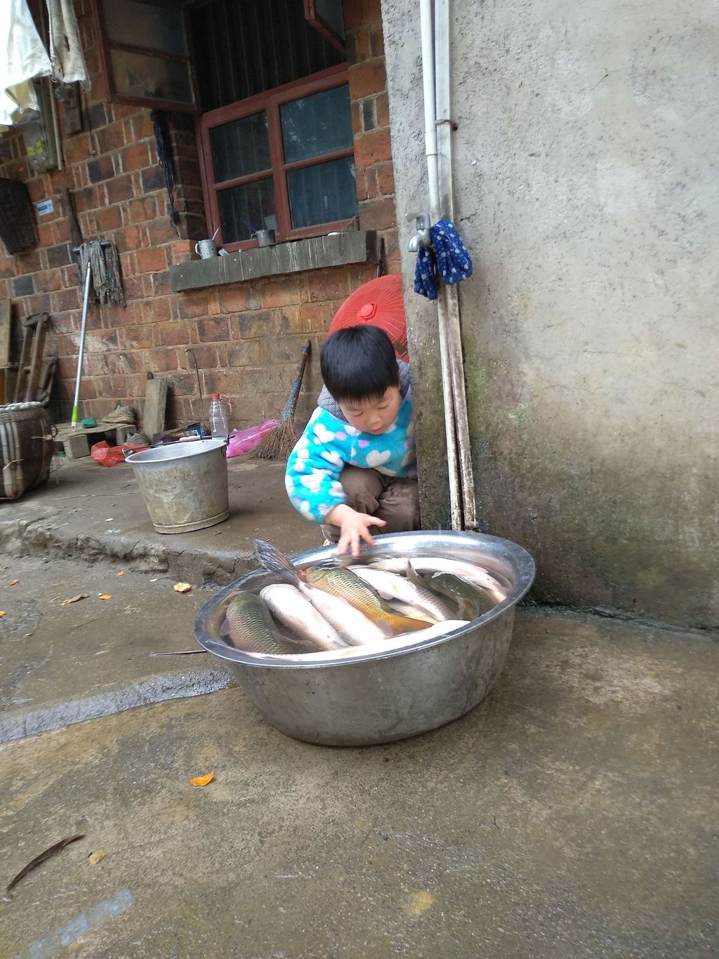 20210207奇奇与鱼