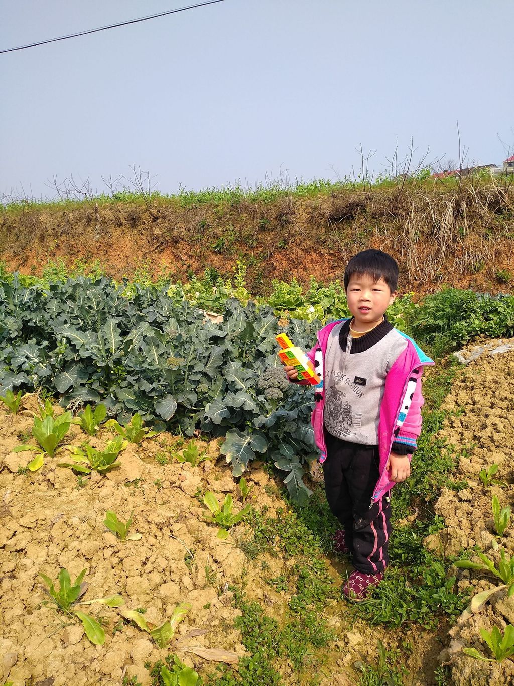 20210222奇奇在菜地