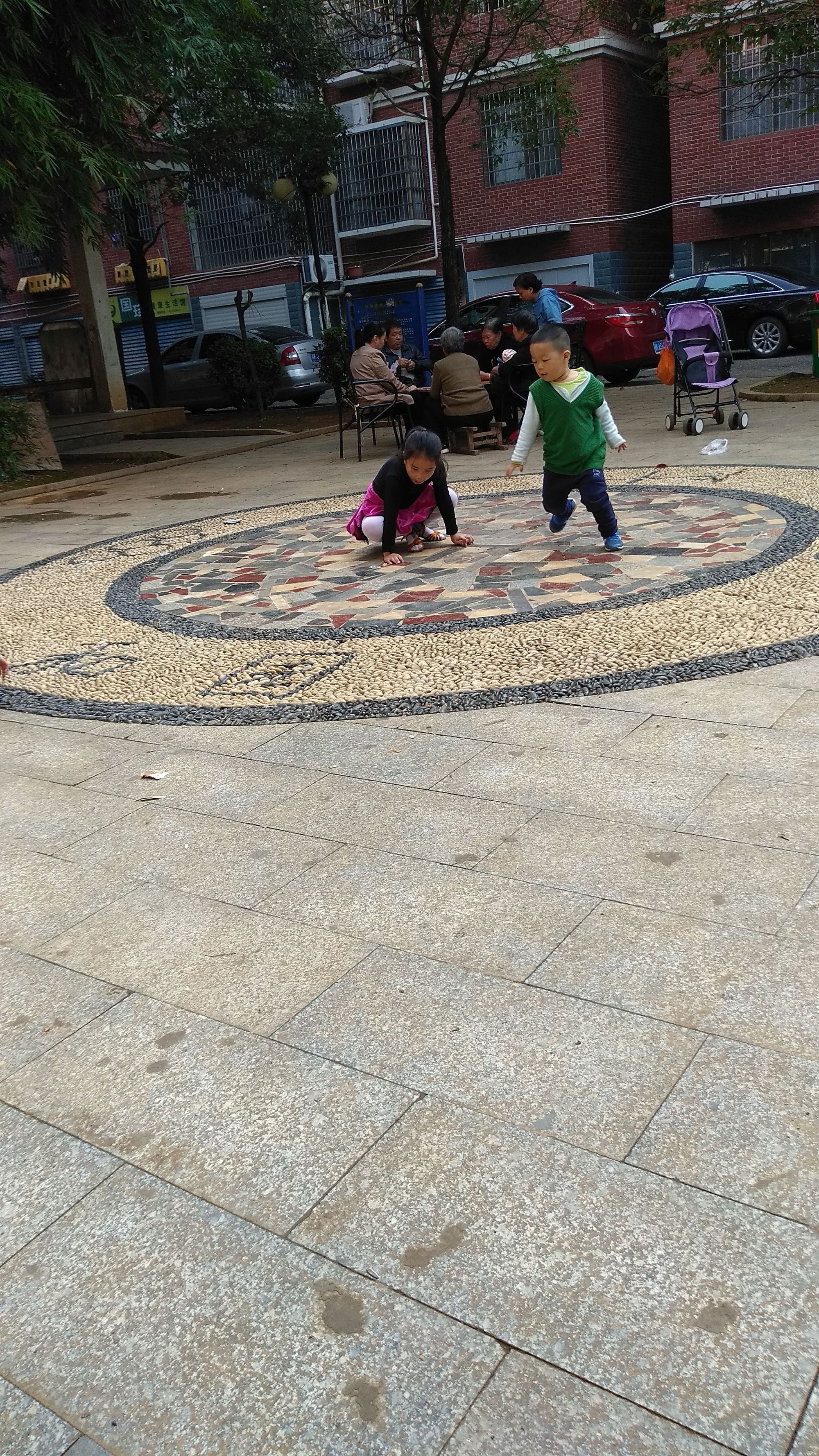 20210410奇奇在小区