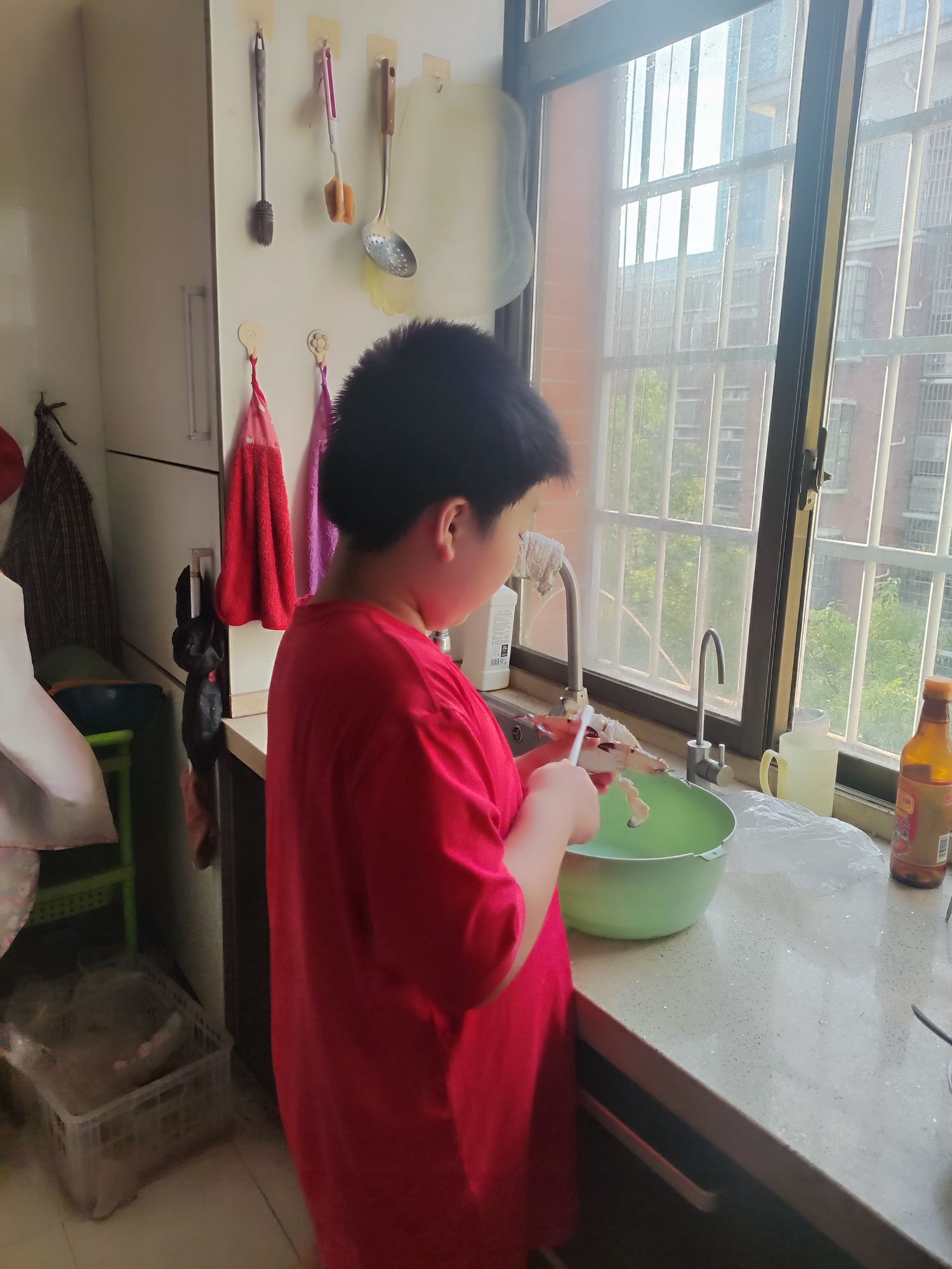 20250914奇奇的螃蟹